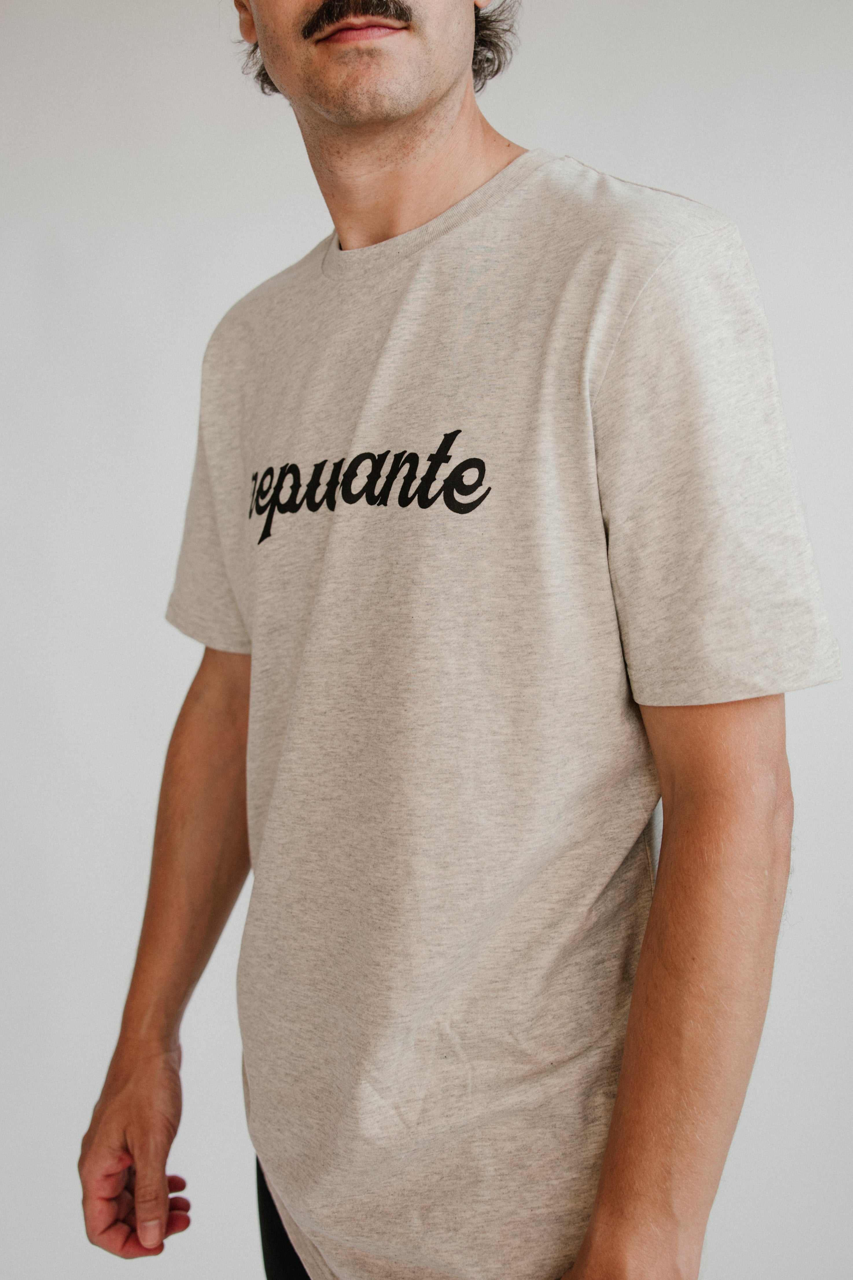 Camiseta Repunante Gris Jaspeáu - Unisex