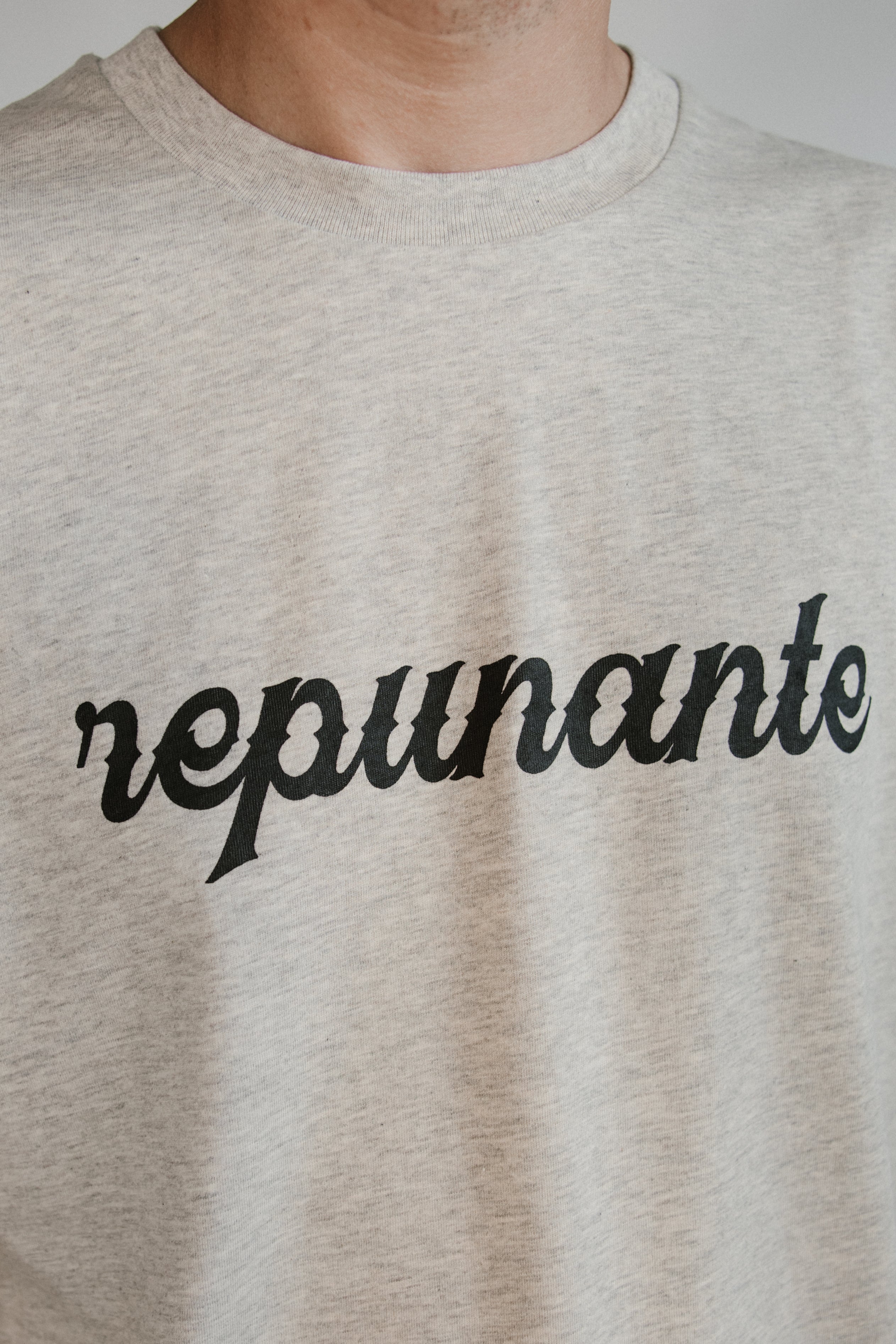 Camiseta Repunante Gris Jaspeáu - Unisex