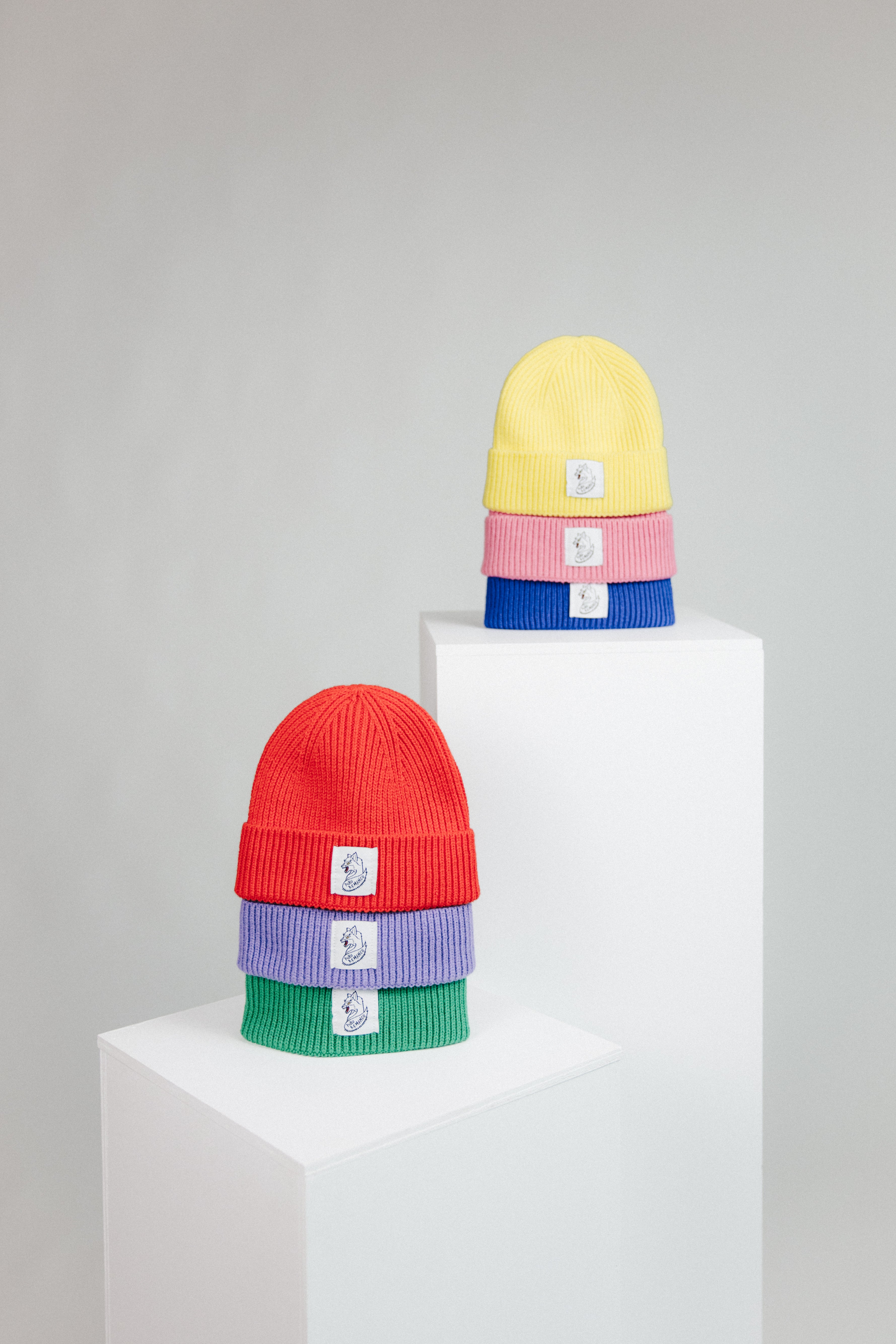 Gorru Reciella - Moráu